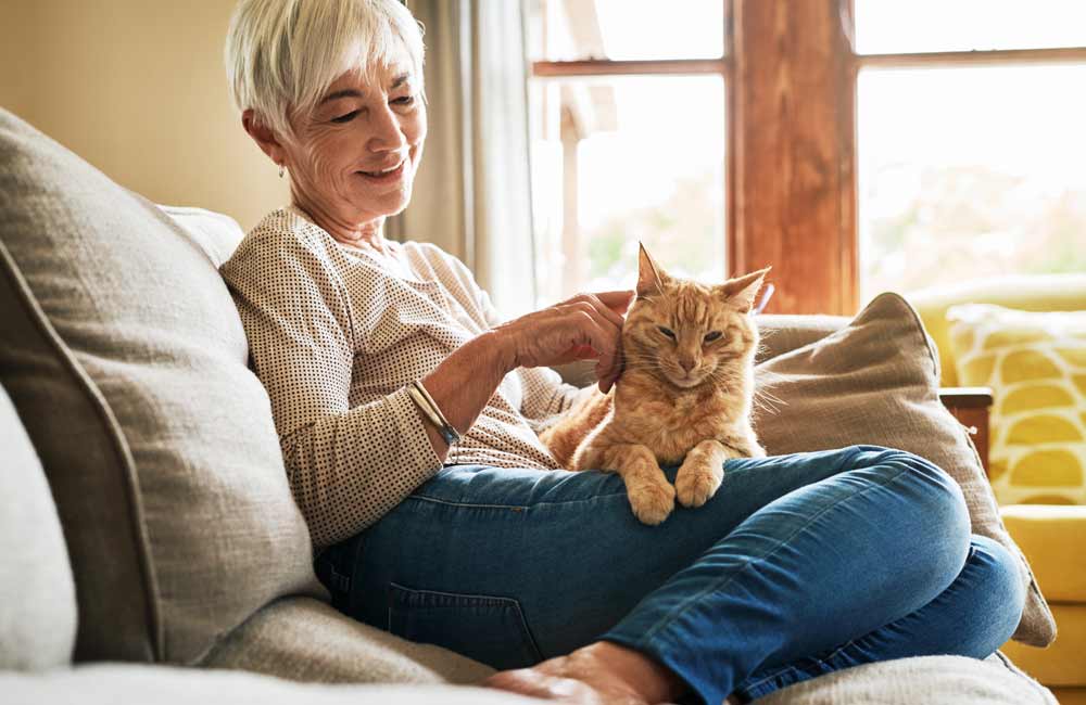 Elderly woman sitting on a couch, smiling, and petting a ginger cat on her lap in a cozy home.